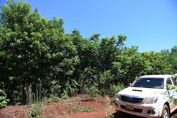 Puerto Indio: Propiedad recuperada con significativa cobertura boscosa
