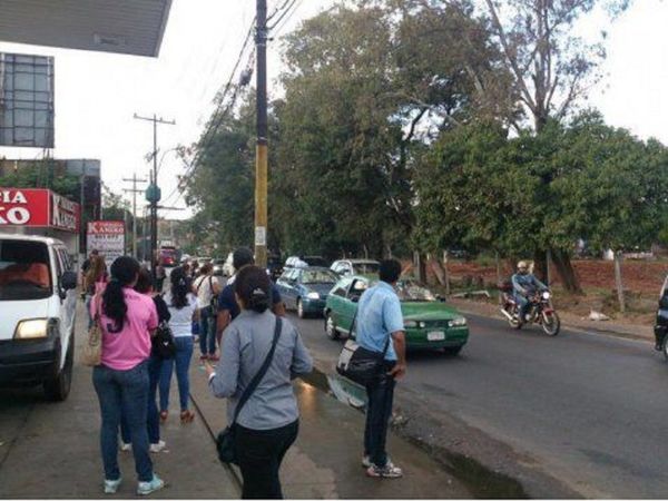 Diputada pedirá informes sobre reguladas en el transporte público