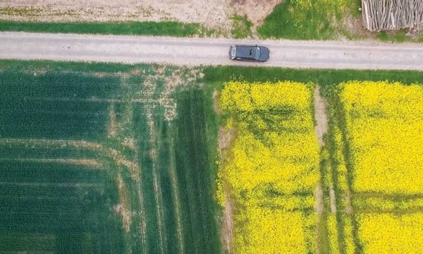 La Alianza Francesa proyecta el documental «L’or vert»