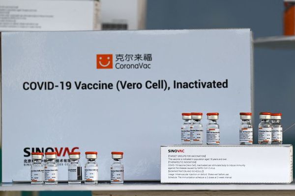 COVID-19: Paraguay solo puede adquirir vacunas chinas por intermedio del sector privado, señalan desde Dinavisa - Nacionales - ABC Color