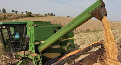 Rendimiento de la soja estaría en promedio a los 3.000 k/ha