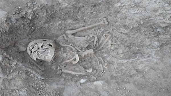 Hallan en España 11 esqueletos humanos ocultos bajo una piscina en el lugar de un castillo medieval | Ñanduti
