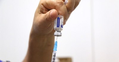 La Nación / Morínigo suplica a la OPS que entregue las vacunas adquiridas por Paraguay mediante el mecanismo Covax