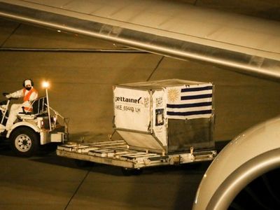 Uruguay está a punto de saturar UTI en frontera brasileña