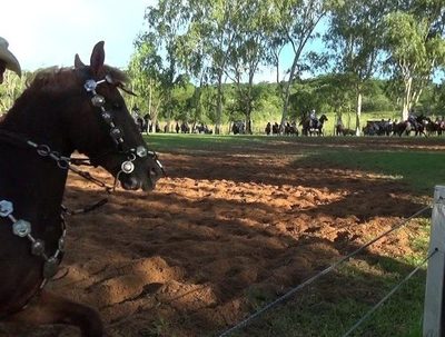 Unas 5.000 personas se aglomeraron en una jineteada en San Pedro · Radio Monumental 1080 AM