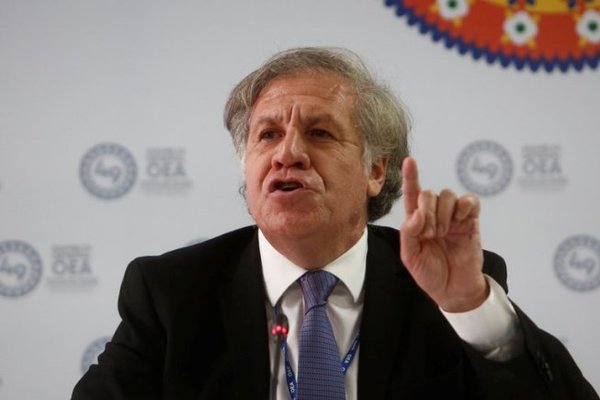 La OEA rechazó las acusaciones de Argentina de haber participado de un presunto golpe de Estado en Bolivia | .::Agencia IP::.