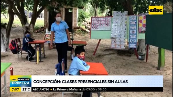Clases presenciales en Concepción... bajo los árboles - ABC Noticias - ABC Color