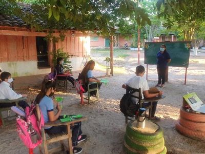 Clases presenciales bajo árboles en Concepción