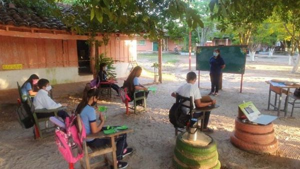 Clases presenciales bajo árboles en Concepción