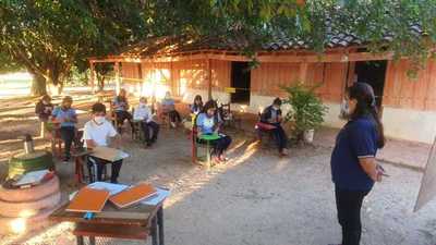 Clases presenciales bajo árboles en Concepción
