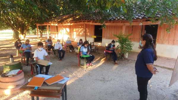 Clases presenciales bajo árboles en Concepción