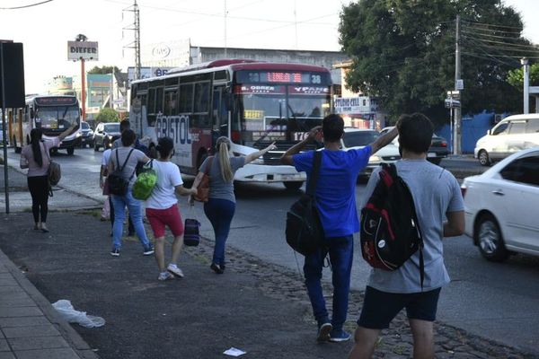 PLRA presentará denuncia contra transportistas por las reguladas - Nacionales - ABC Color