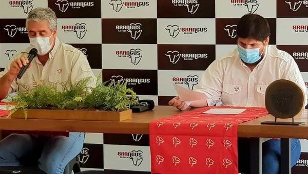 Brangus prepara la Nacional de Otoño totalmente digitalizada (apuntan a G. 3.000 millones en negocios)