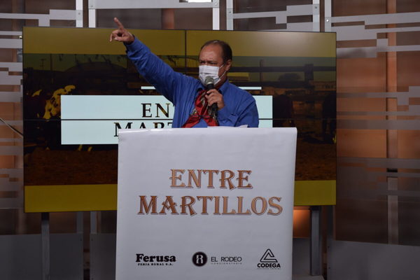 Entre Martillos vende 1.200 vacunos de invernada en su feria televisada de marzo