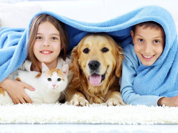 Beneficios de las mascotas en casa
