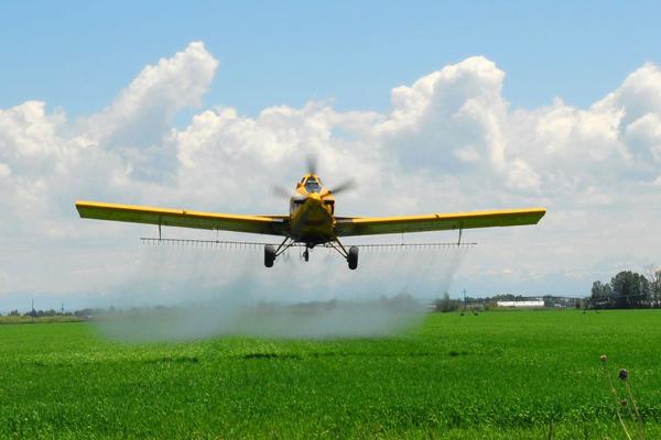 Idea desesperada en Brasil: un concejal propuso rociar con alcohol en gel desde un avión - ADN Digital