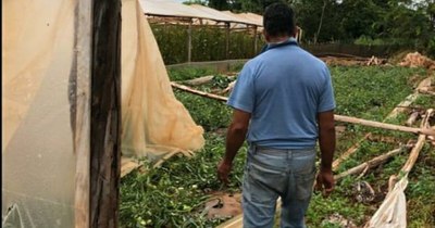 La Nación / Unos 30 productores de “El Triunfo” fueron afectados por temporal de anoche