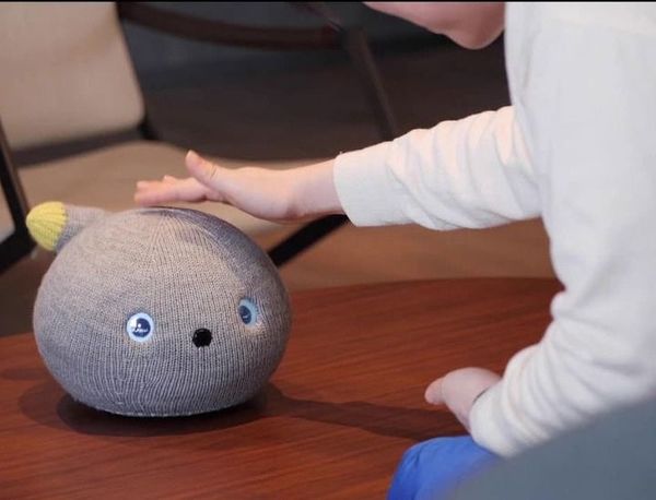 Nicobo, otra mascota robot que causa furor