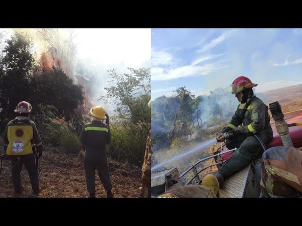 CAPITÁN MIRANDA: INCENDIOS EN SIMULTÁNEO SOBRE PASÓ CAPACIDAD DE BOMBEROS