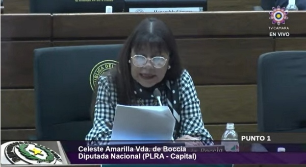 Duro cruce de palabras entre diputada opositora y su colega cartista