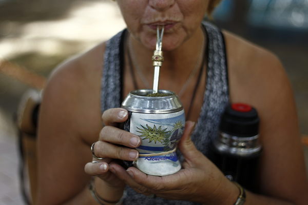 India abre su mercado para la yerba mate producida en Argentina - MarketData
