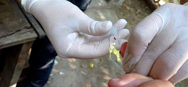 SENEPA inicia campaña para erradicar la malaria en Paraguay