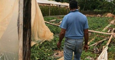 La Nación / Productores afectados por gran temporal