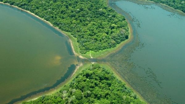 ¿Por qué el Pantanal es uno de nuestros recursos más importantes y qué peligros lo aquejan?