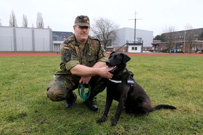 Los perros de terapia pueden aliviar el estrés de soldados traumatizados - Mascotas - ABC Color
