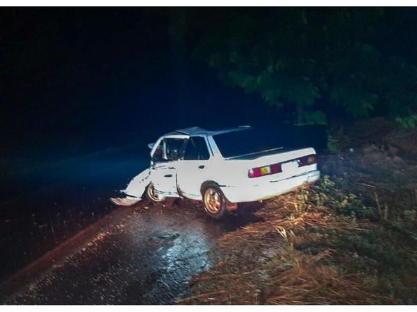 Alto Paraná: Temporal tumba árboles y causa accidentes