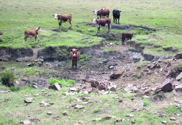 Uruguay: Ministerio de Ganadería extendió la Emergencia Agropecuaria por sequía