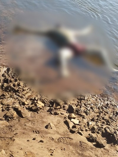 Hallan cadáver de un hombre a orillas del río Paraná - La Clave