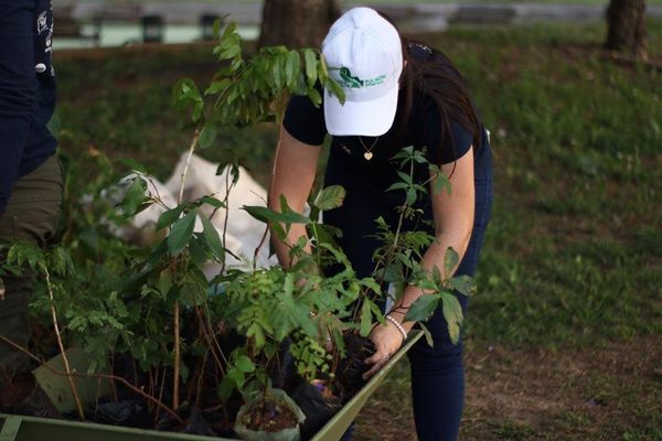 Plantá un árbol con A Todo Pulmón