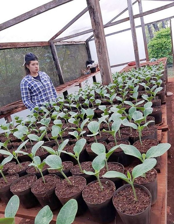 Escuelas agrícolas se levantan contra el MAG - Nacionales - ABC Color