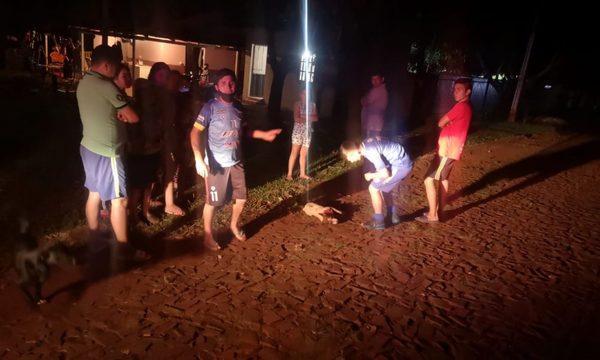 Matan a perro de un balazo
