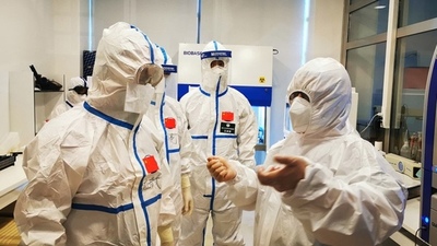 La OMS cree haber detectado el lugar donde se originó la pandemia | .::Agencia IP::.