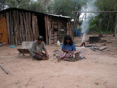 Seccionalero colo'o por indígenas: "es difícil domesticarlos"