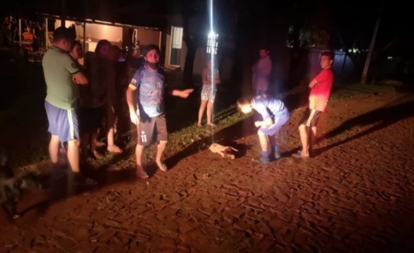 Mató con varios disparos al perro de su vecino