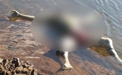 Cadáver encontrado en el Paraná es de un adolescente extranjero