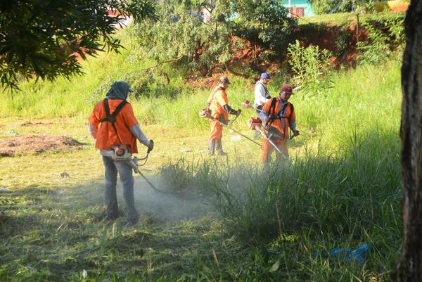 Continúan con jornada de minga ambiental y reforestación