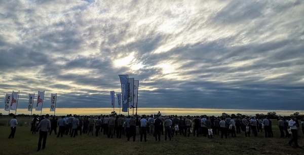 Realizan jornada de campo verificando variedades de pasturas en el Chaco Central