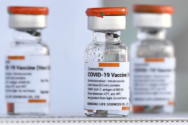 Cancillería “trabó” compra de vacunas chinas, según Cámara Paraguaya China - Nacionales - ABC Color