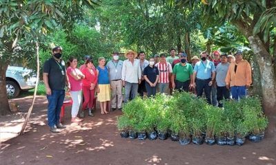 Entregan plantines e insecticidas a agricultores