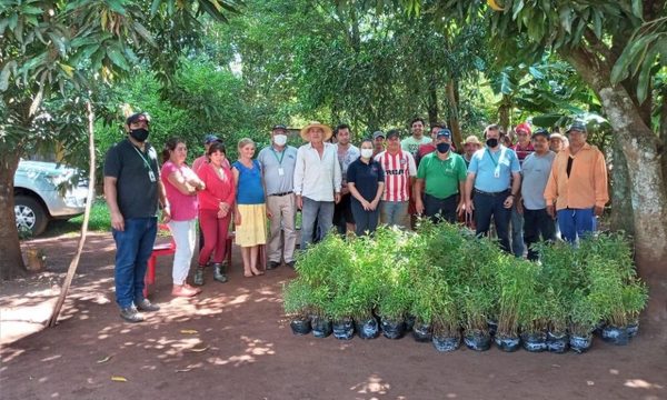 Entregan plantines e insecticidas a agricultores