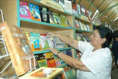 Robaron librería, pero ni tocaron los libros | Noticias Paraguay