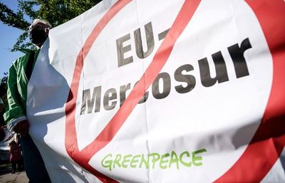 Dicen que el acuerdo UE-Mercosur necesita mayor evaluación ambiental - Mundo - ABC Color