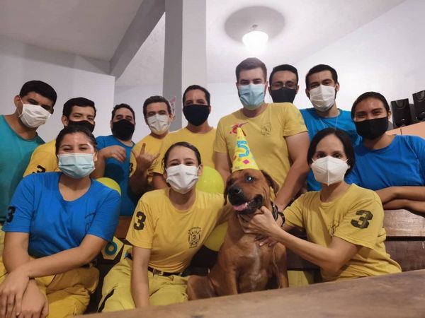 El perrito bombero deja un gran vacío en los voluntarios