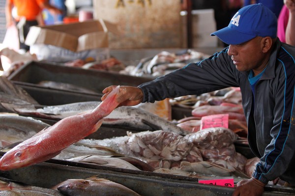 Engaños en la venta de pescado afectan a consumidores en México, alerta ONG - MarketData