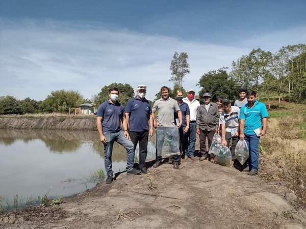 PROGRAMA DE PISCICULTURA SIGUE SU CURSO EN TODO EL DEPARTAMENTO