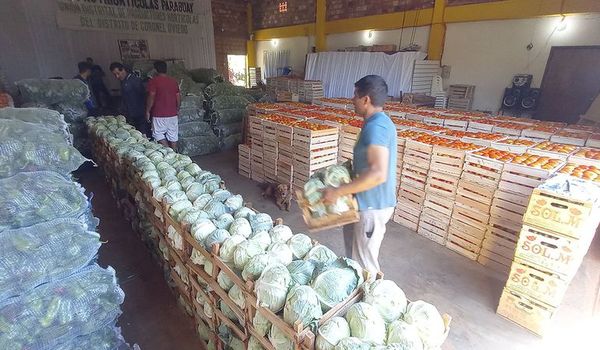 Sistema de trabajo beneficia a 3.000 familias de Oviedo - Nacionales - ABC Color